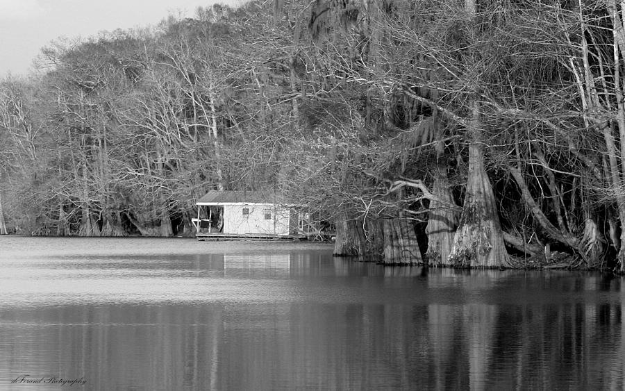 Tree Photograph - Houseboat by Debra Forand