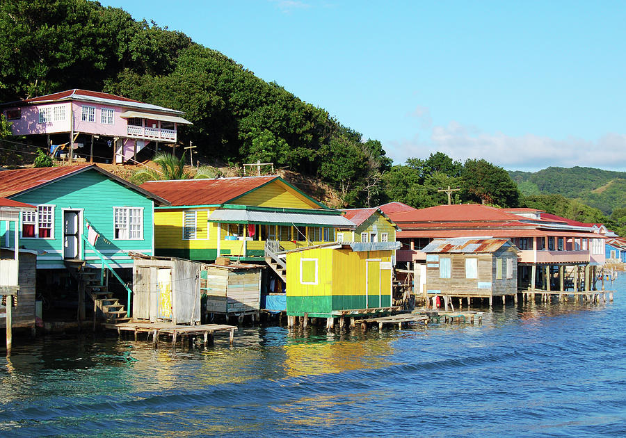 Nature Photograph - Houses On The Coast Of Roatan, Honduras by Wildroze