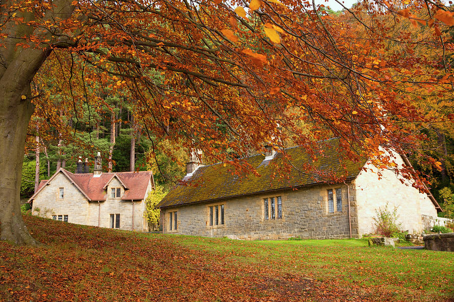 Houses With Trees In Autumn Colours Photograph by John Short