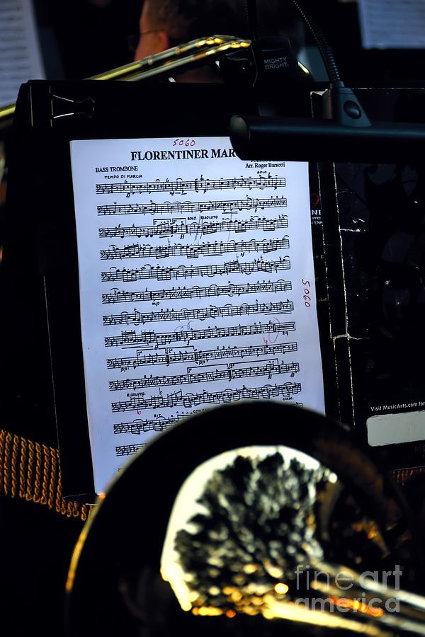 Houston Brass Band in Concert Photograph by Norman Gabitzsch