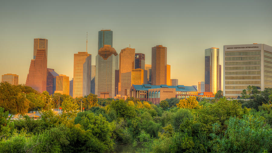 Houston Photograph - Houston Skyline by Gregory Cox