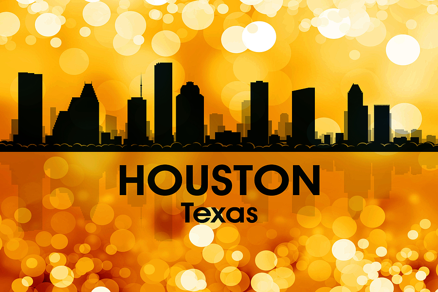Houston TX 3 Mixed Media by Angelina Tamez