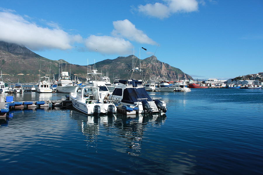 Hout Bay Photograph by Pat Purdy