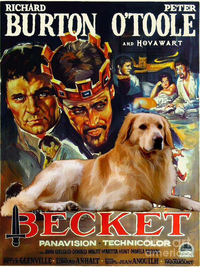 Hovawart Art Canvas Print - Becket Movie Poster Painting by Sandra Sij