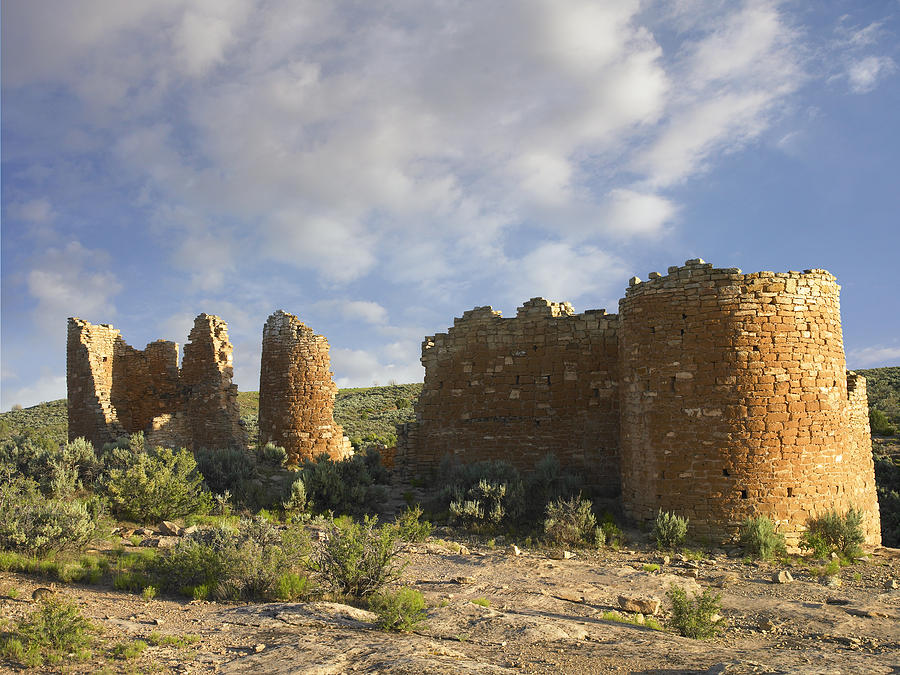 Hovenweep Castle At Little Ruin Canyon Photograph by Tim Fitzharris