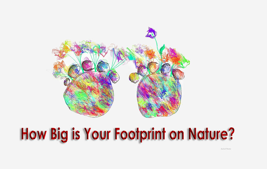 Nature Drawing - How Big Is Your Footprint On Nature by Angela Stanton