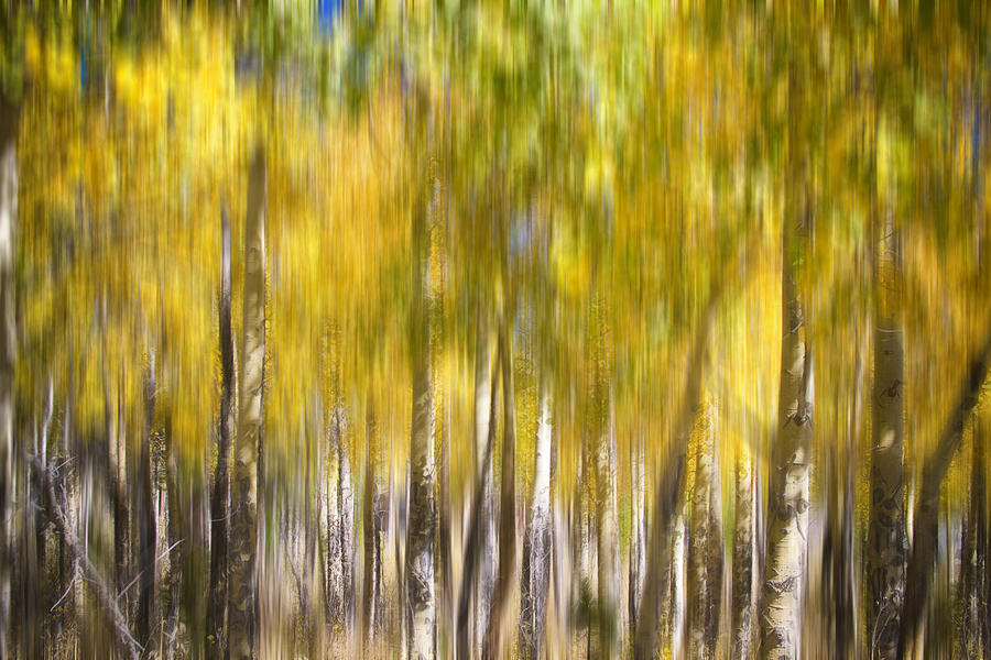 Abstract Photograph - How Did I Get Here by James BO Insogna