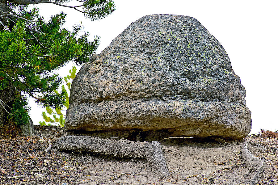 How Did This Huge Smooth Rock Get on Edge of North Rim of Grand Canyon ...