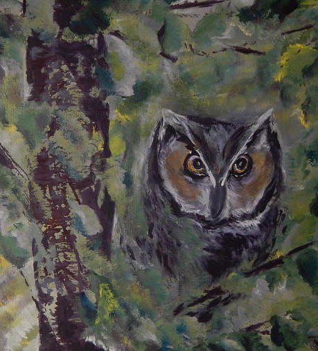 Bird Painting - How do you Whoo by Shirley Watts