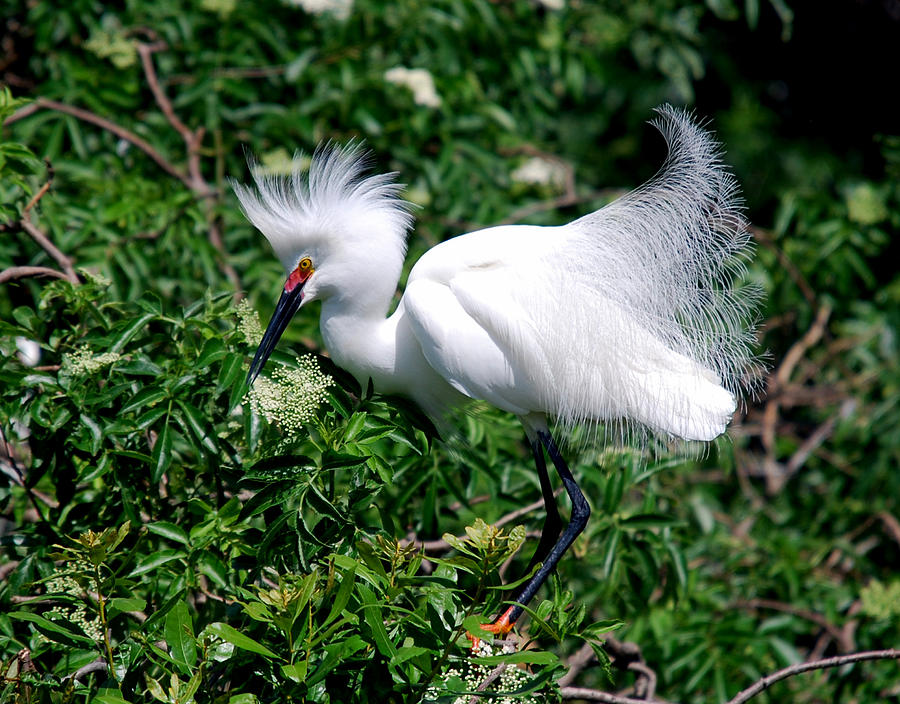 How Pretty Am I Photograph by Skip Willits - Fine Art America