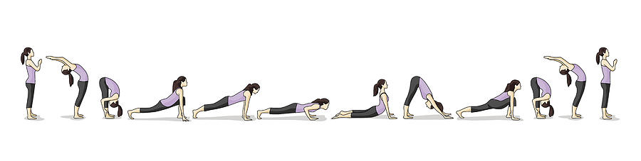 How-to illustration of yoga Sun Salutations Drawing by Fatcat21