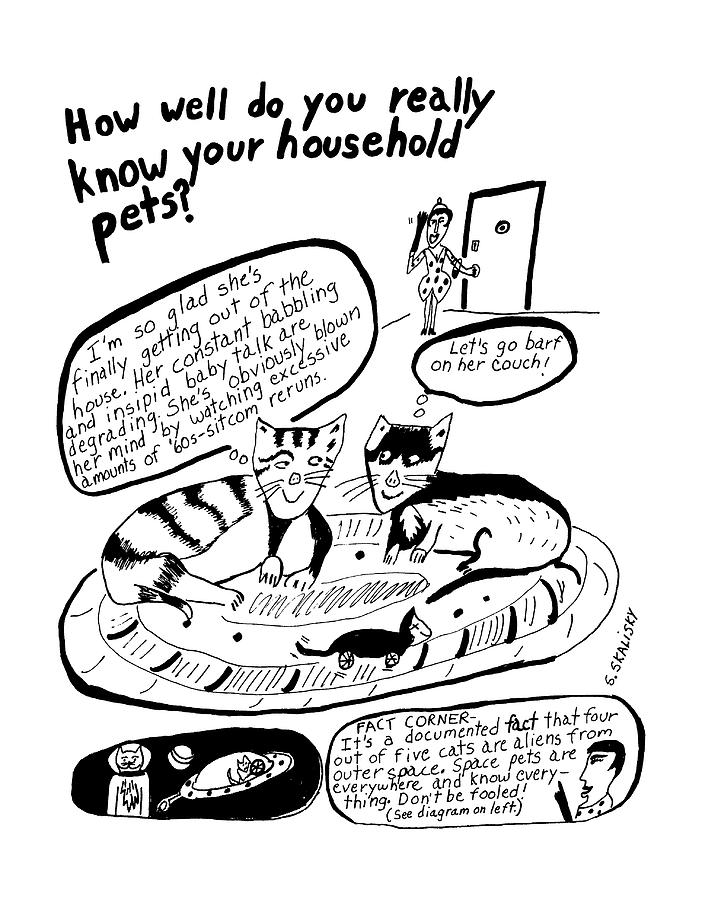 How Well Do You Really Know Your Household Pets? Drawing by Stephanie Skalisk