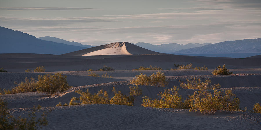 How ya Dune Photograph by Peter Tellone