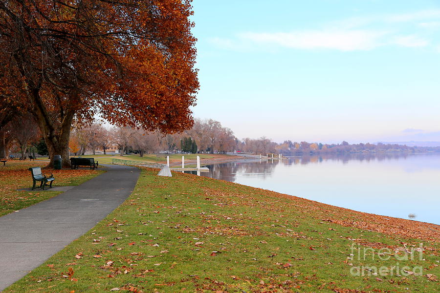 Howard Amon Park in Autumn Photograph by Carol Groenen