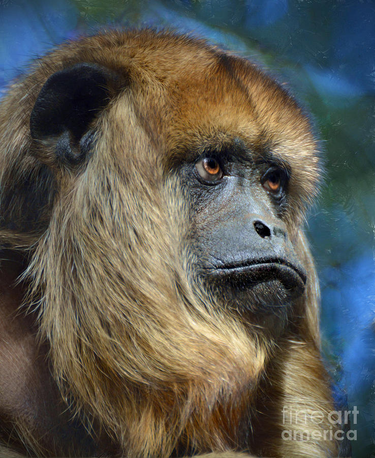 Animal Photograph - Howler Monkey by Savannah Gibbs