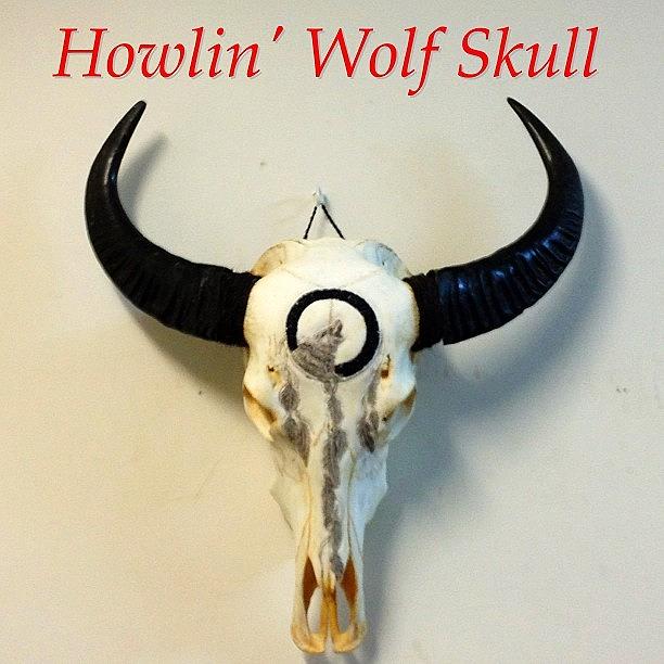Skull Photograph - Howlin Wolf Skull - Hand Carved, Hand by Shikoba Photography