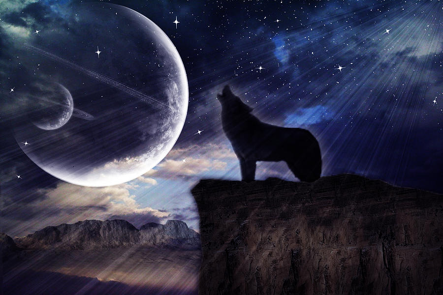 Howling at the Moon 2 Photograph by Regina Williams - Fine Art America