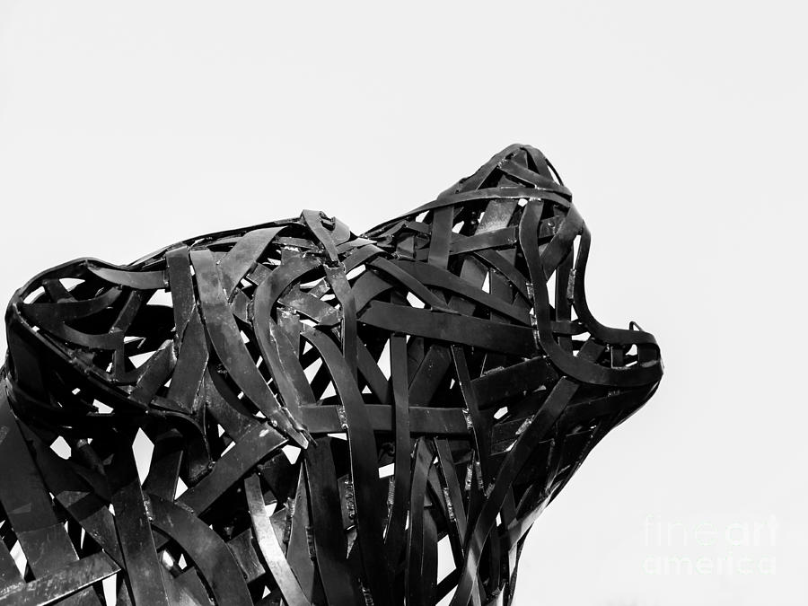 Black And White Photograph - Howling Wolf Sculpture by Robert Yaeger