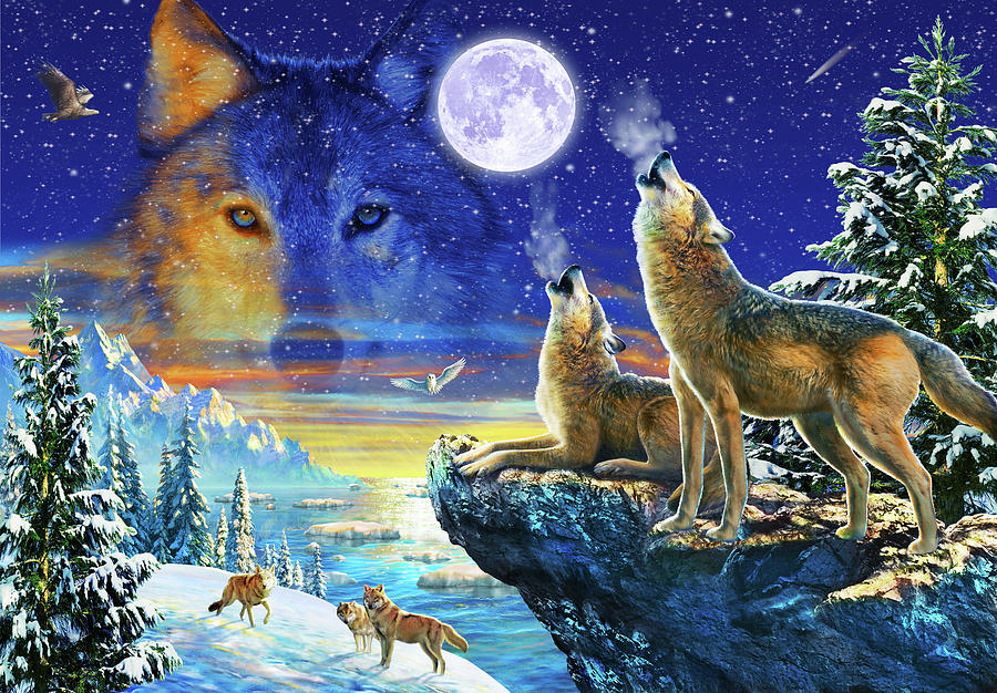 Howling Wolves Drawing by MGL Meiklejohn Graphics Licensing