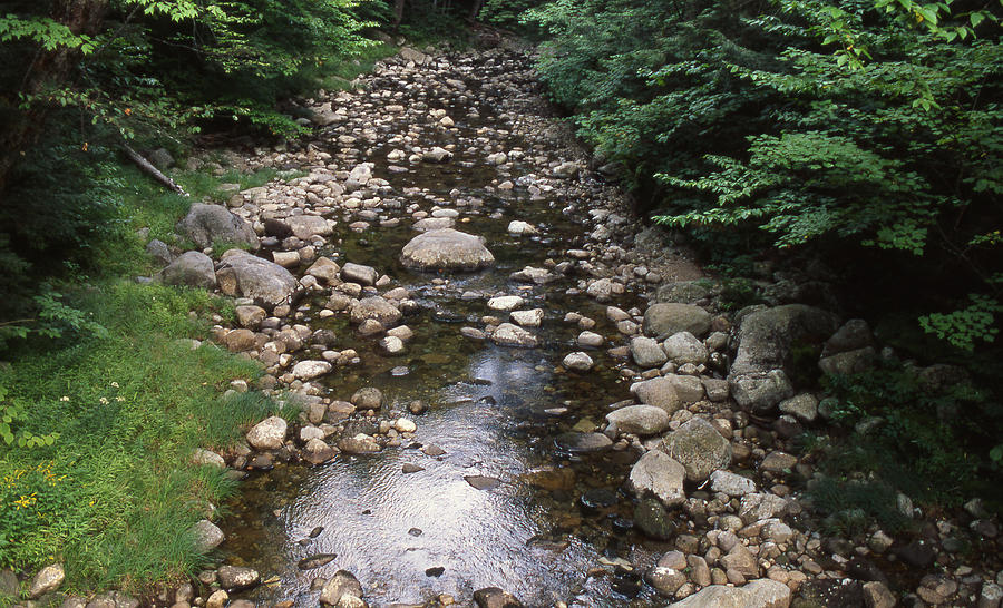 Hubbard Brook, Ecological Model, Nh Photograph by Carleton Ray