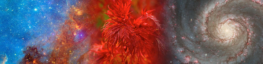 Fantasy Photograph - Hubble Galaxy With Red Maple Foliage by Panoramic Images