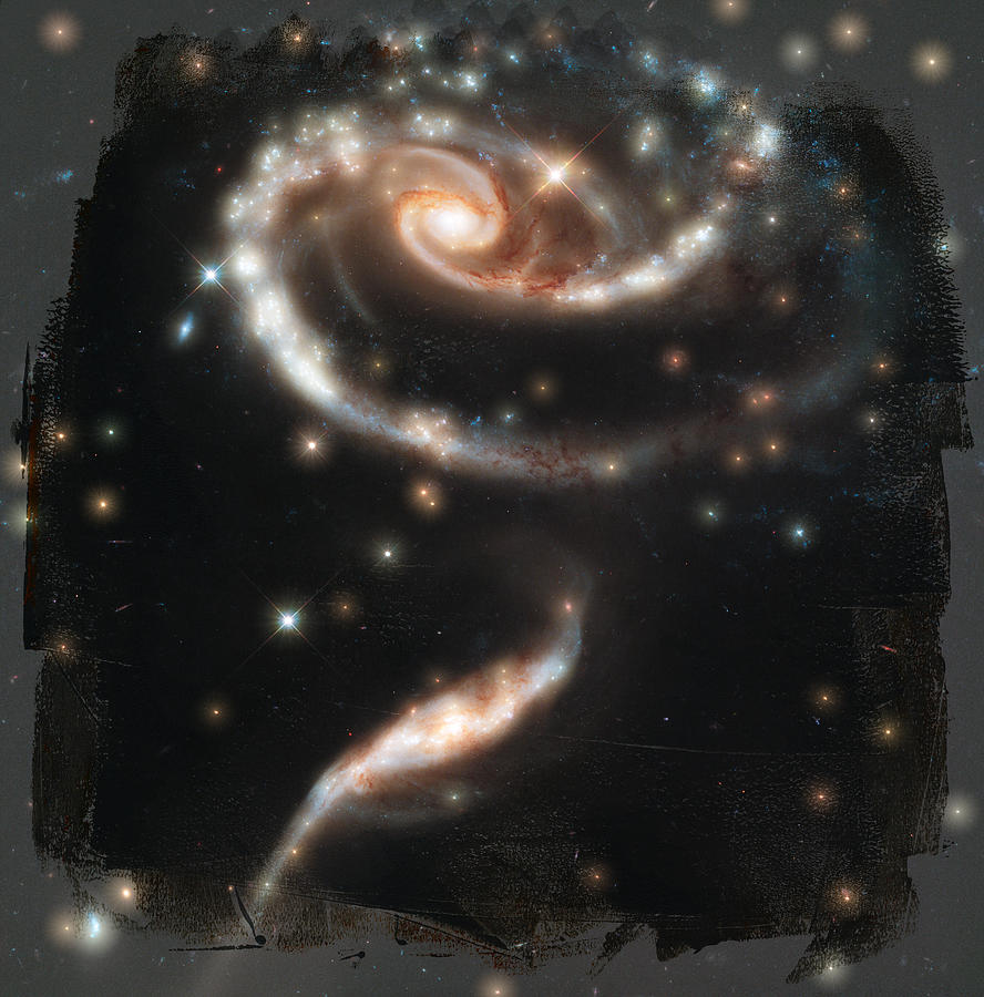 Hubble - Rose Made of Galaxies Photograph by Paulette B Wright