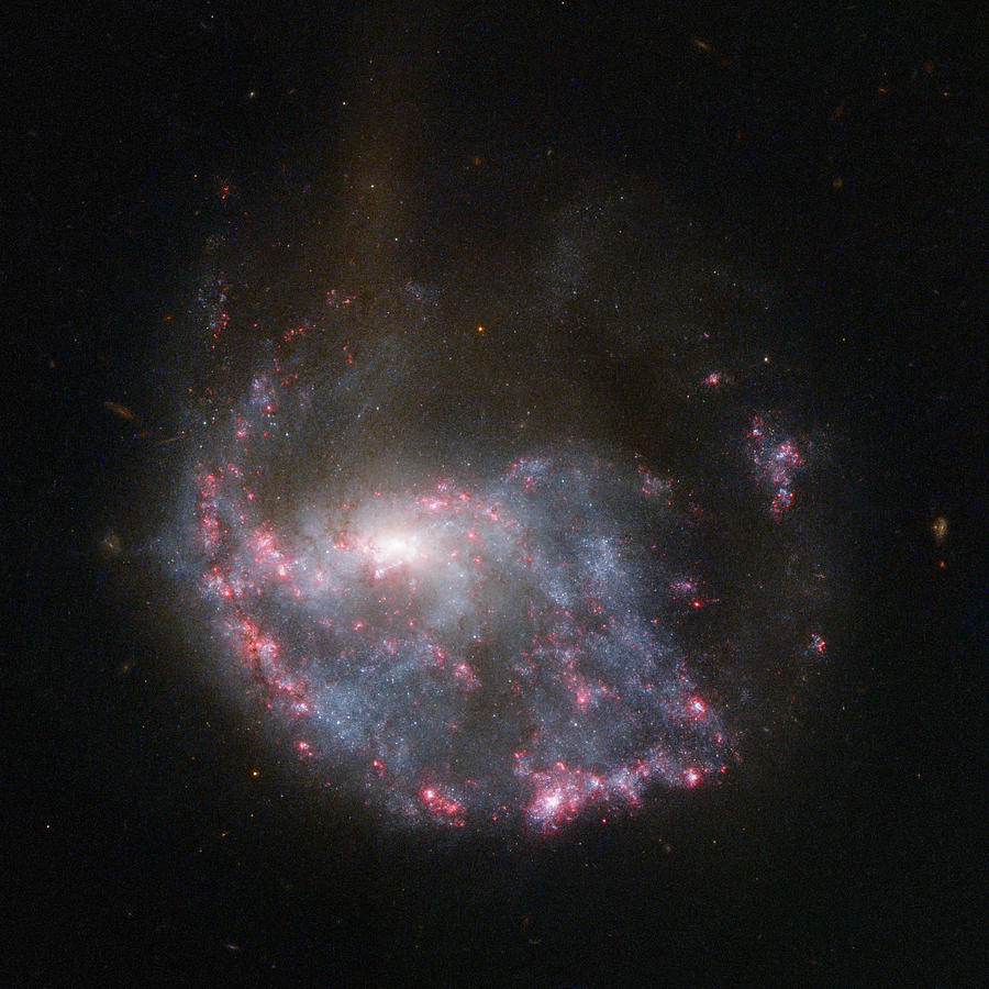 Hubble View Of Ngc 922 Photograph by Science Source