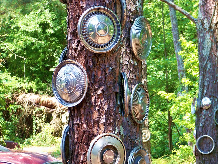Tree Photograph - Hubcap Tree by Chuck Hicks
