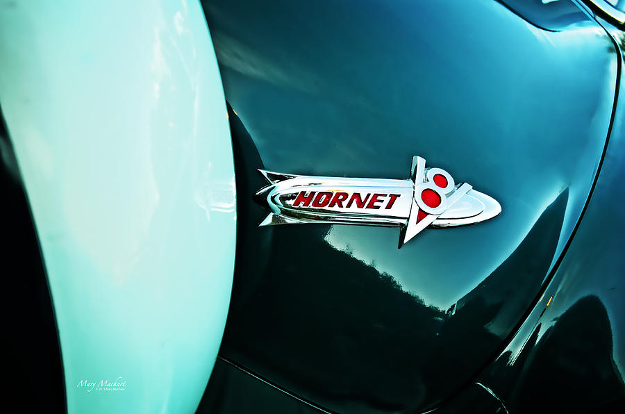 Hudson Hornet Photograph by Mary Machare