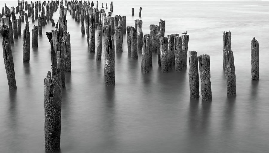 Hudson Photograph - Hudson River Pilings by Bill Carson Photography