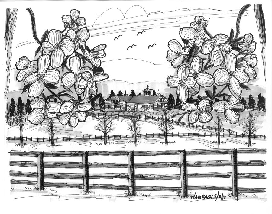 Hudson Valley Apple Blossoms Drawing by Richard Wambach