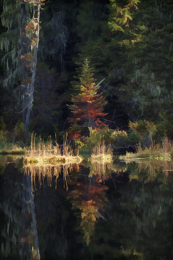 Huff Lake Reflection Photograph by Paul DeRocker