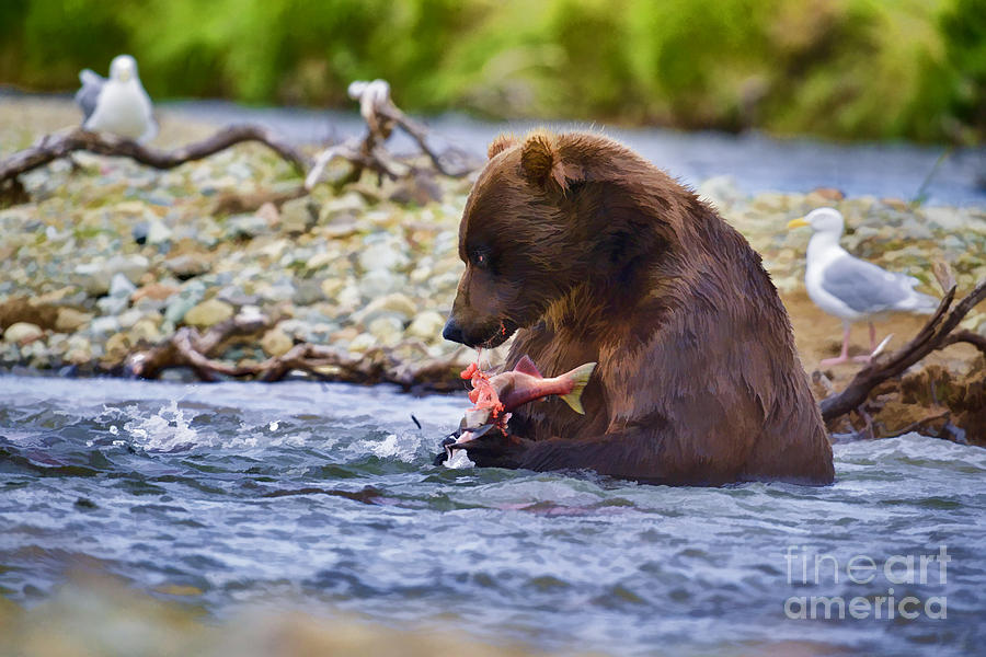 Huge Brown Bear In Creek Eating Salmon Photograph