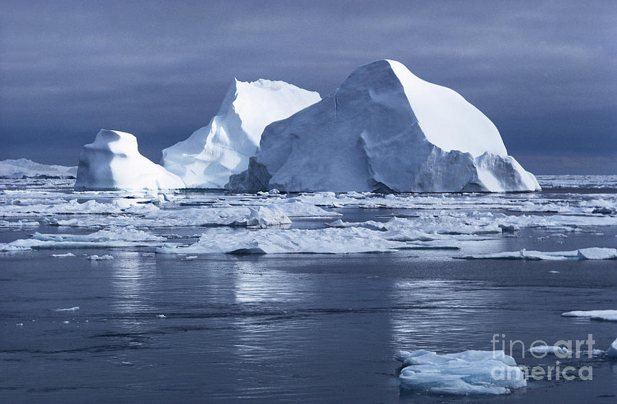 Huge Icebergs, Greenland Photograph by William Bacon