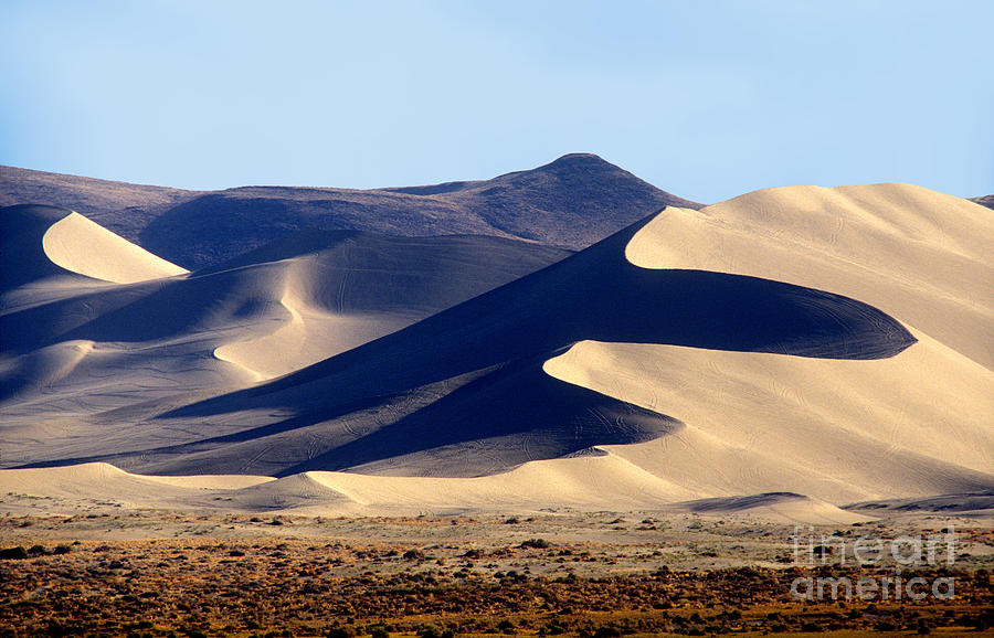 Dunes at Sand Mountain Recreation Area Nevada Photograph by Wernher Krutein