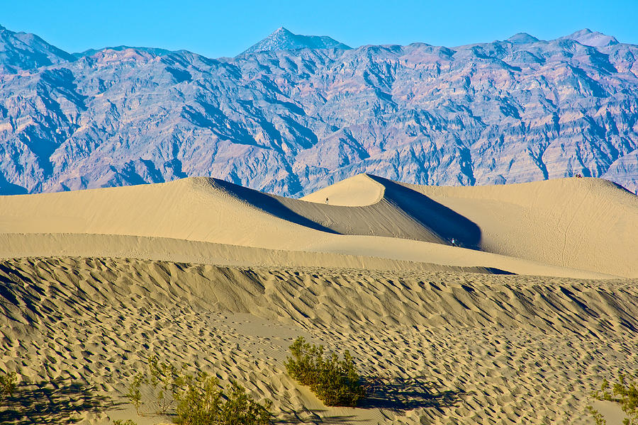 Huge Sand Dunes In Mesquite Flat Sand Dunes In Death Valley National 