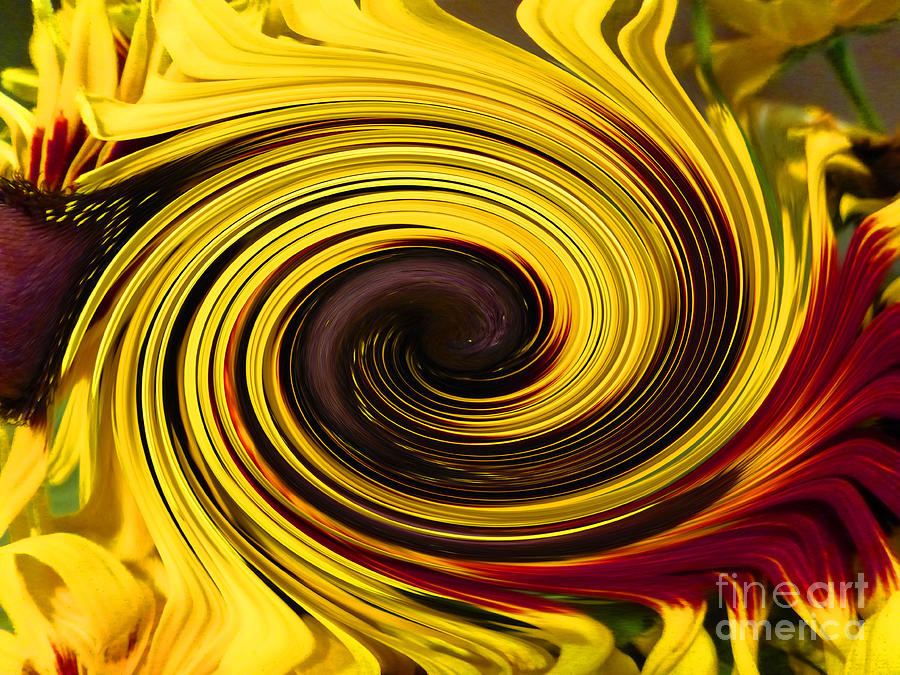 Sunflower Photograph - Huge Sunflower Twirl by Tina M Wenger