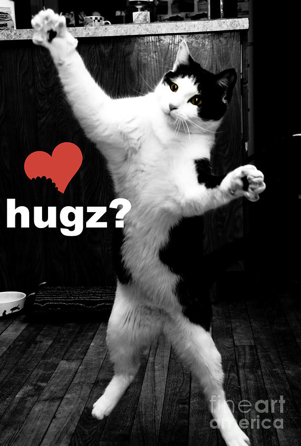 Hugz Photograph by Cheryl Baxter