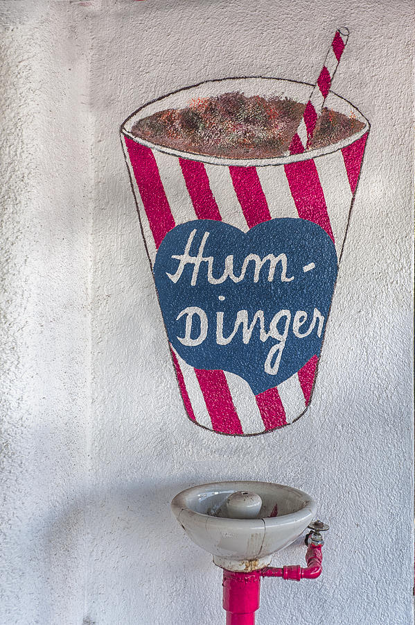 Hum Dinger Photograph by Gary Warnimont