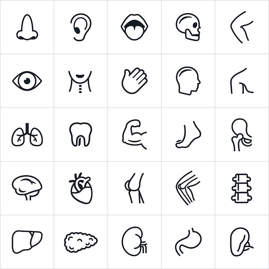Human Anatomy Icons Drawing by Appleuzr