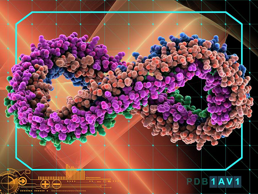 Human Apolipoprotein A-1 Molecule by Laguna Design/science Photo Library