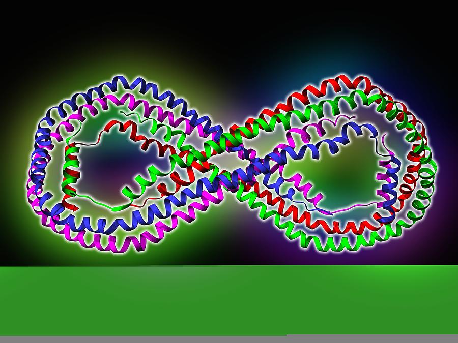 Human Apolipoprotein A-1 molecule Photograph by Science Photo Library ...