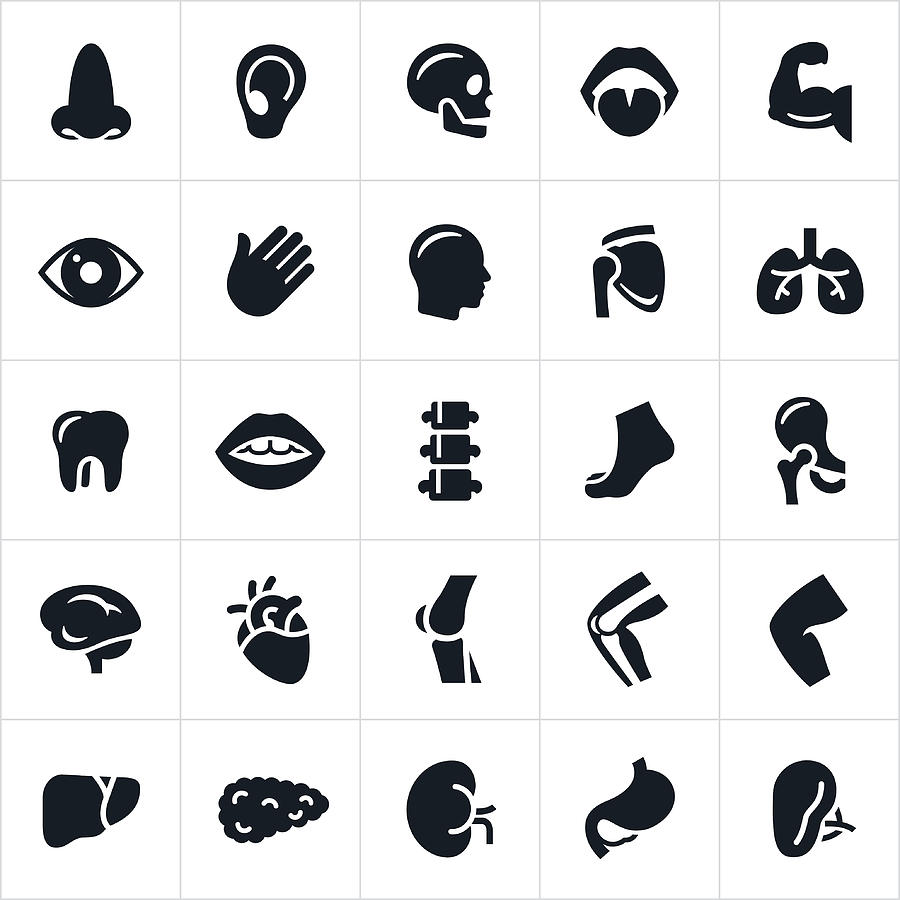 Human Body Parts Icons Drawing by Appleuzr