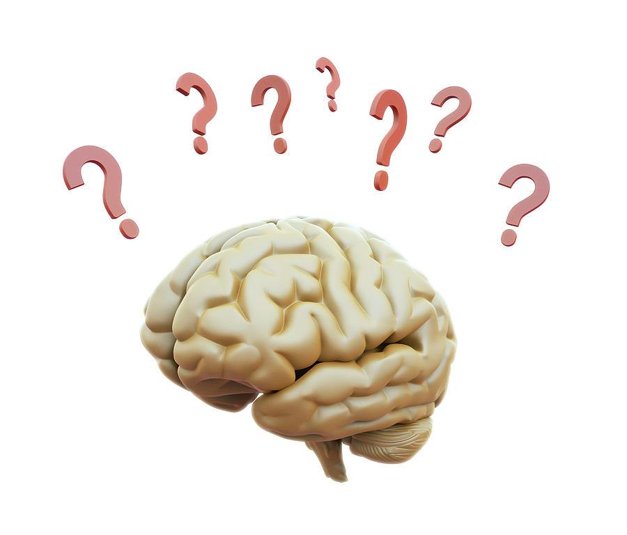 Human Brain And Question Marks Photograph by Andrzej Wojcicki
