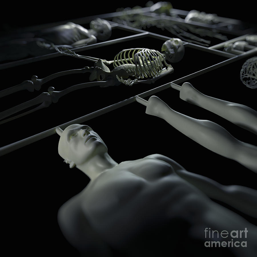 Skeleton Photograph - Human Cloning by Science Picture Co