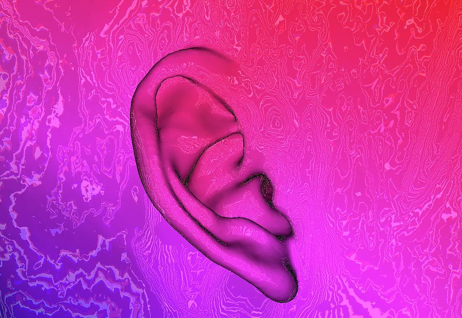Human Ear Photograph by K H Fung/science Photo Library