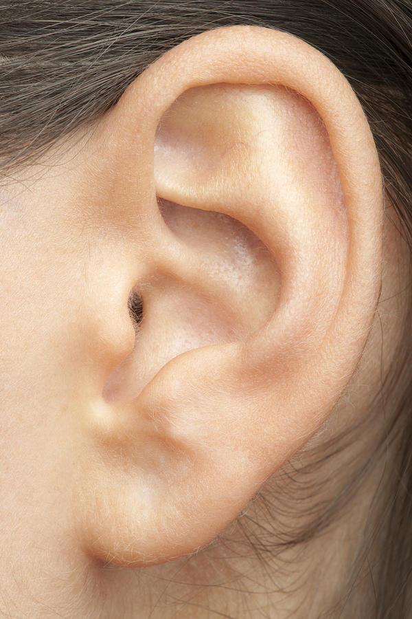 Human Ear (XXXL) Photograph by 4fr