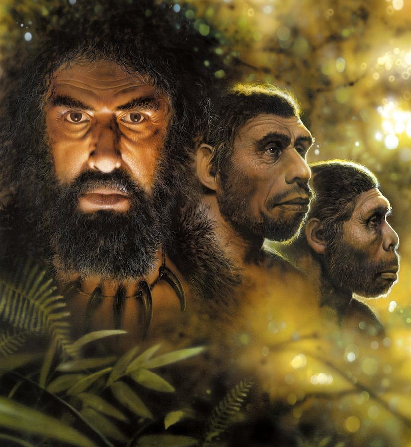 Prehistoric Photograph - Human evolution, conceptual image by Science Photo Library