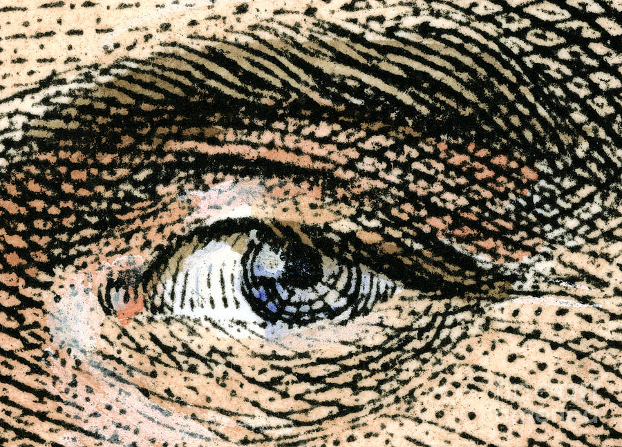 Human Eye, 1820 Photograph by Granger