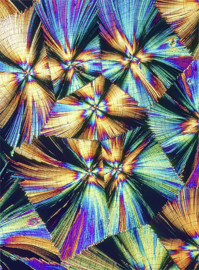 Human Growth Hormone Crystals Photograph by Alfred Pasieka